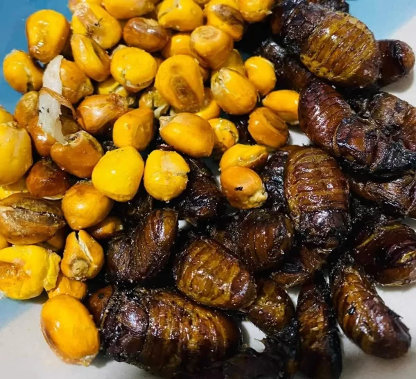 Catzos con tostado Otavalo