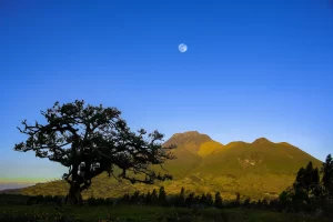 El lechero de Otavalo