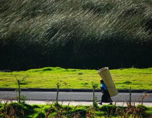 Totorales y Wanpu Allpa