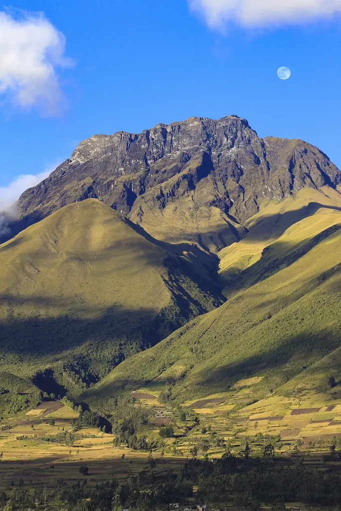 Vegetacion Volcan Imbabura