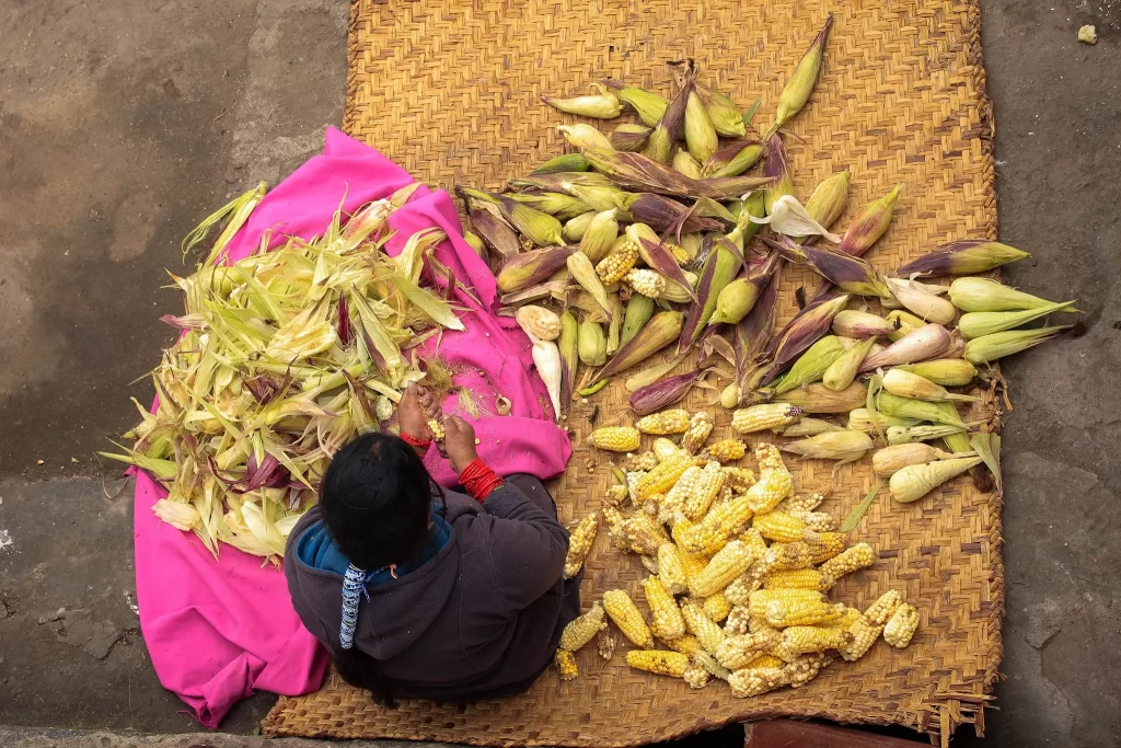 cosecha-cocina-Otavalo