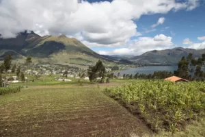Sembrio-.Otavalo