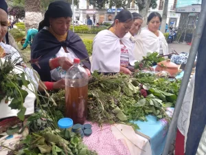 medicina-natural-Otavalo