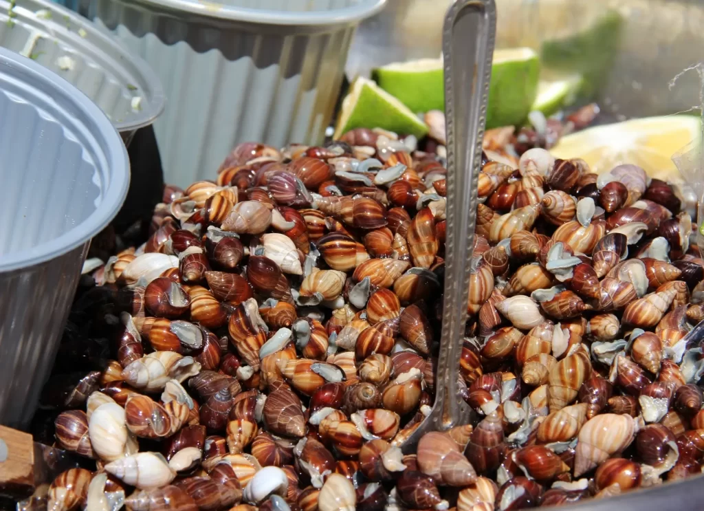 otavalo-churos-caracoles