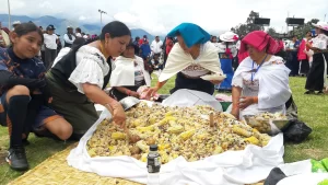 cucavi-tradiciones-comunidad-otavalo